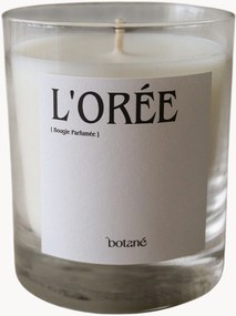 Geurkaars L'Orée (zwarte peper, jasmijn sambac & hazelnoot)
