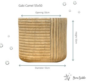 Pot Gabi camel