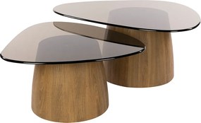 Driehoekige Salontafelset Met Rookglas - 91 X 75cm.