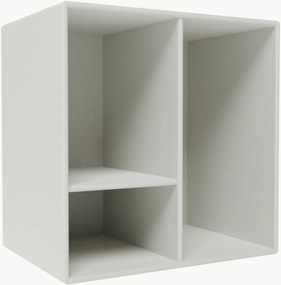 Module Mini 1002