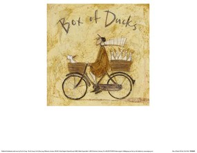 Kunstdruk Sam Toft - Box of Ducks