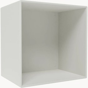 Module Mini 1001