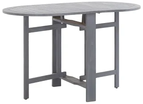 vidaXL 5-delige Tuinset massief acaciahout grijs