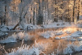 Foto Morning by a frozen river in winter, Schon