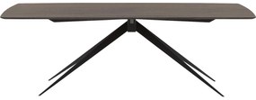 Goossens Excellent Eettafel Uniek, Semi rechthoekig 260 x 100 cm