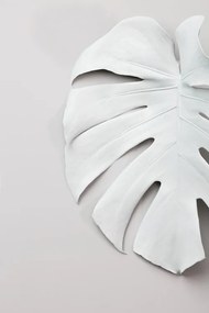 Foto Monstera White 01, Studio Collection