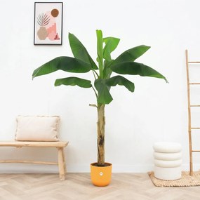 Kunst Bananenplant Musa - 180cm