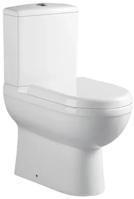 Eastbrook Dura Comfort toiletpot back to wall wit glans