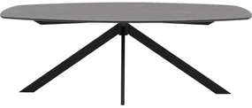 Goossens Excellent Eettafel Floyd, Semi ovaal 220 x 120 cm