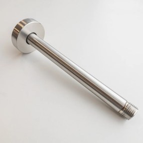 Saniclear Exclusive douchearm voor plafondmontage 20cm RVS