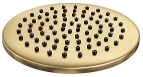 Brauer Gold Edition opbouw regendoucheset met staafhanddouche en hoofddouche 20cm geborsteld messing PVD
