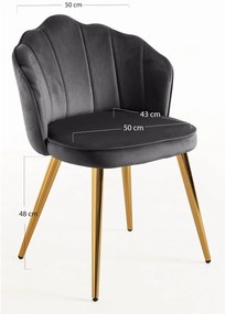 Blume Goud Fluwelen Stoel