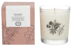 Geurkaars, vijg en rabarber, 210 gram