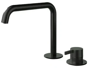 Hotbath Ace Wastafelmengkraan - opbouw - draaibare uitloop - 2gats - PVD - zwart geborsteld PVD AC023MBP