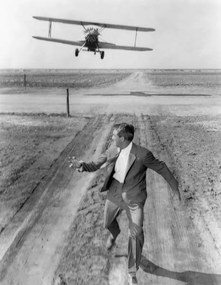Kunstfotografie Cary Grant, (30 x 40 cm)