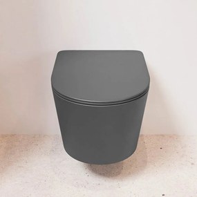 Mondiaz Lavie toiletpot randloos met softclose zitting dark grey