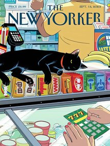 Ilustratie The NY Magazine Cover 159