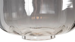 Smart vloerlamp zwart met smoke glas incl. Wifi ST64 - Qara Down