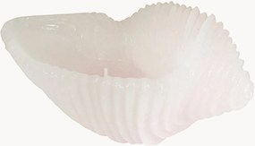 Handgemaakte kaars Cargol in schelp