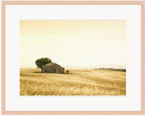 Ingelijste digitale print Provencal Farm