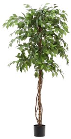 Kave Home Ficus Grote Ficus Kunstplant 180 Cm