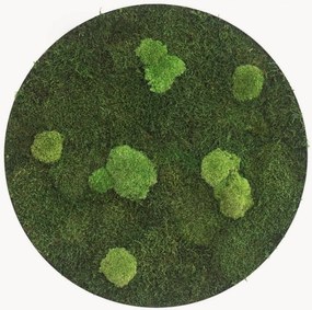 Handgemaakt decoratief mosobject Circle