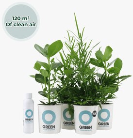 Ogreen Power Squad