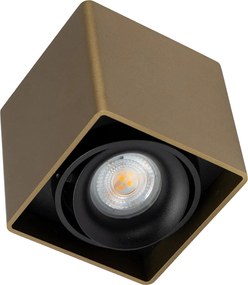 Bjorn 1 Opbouwspot Brons