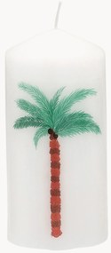 Kandelaar Palm Tree