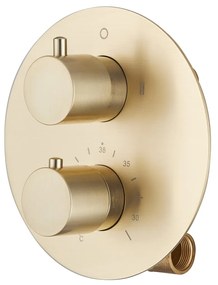 Saniclear Brass inbouw regendouche rond met 30cm hoofddouche en plafondarm geborsteld messing mat goud