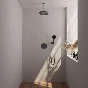 Brauer Stripe inbouw regendouche rond met 25cm hoofddouche, plafondarm en 3 standen handdouche set 42 gunmetal geborsteld PVD