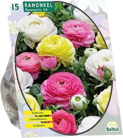 Baltus 'Ranonkel' - Pastel Mix - voorjaarsbloeiers - 15 bollen