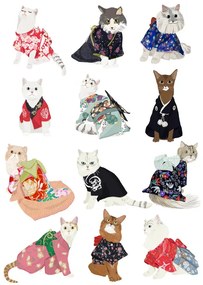Ilustratie Cat In Kimono, Hanna Melin