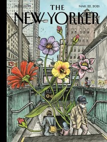 Ilustratie The NY Magazine Cover 06