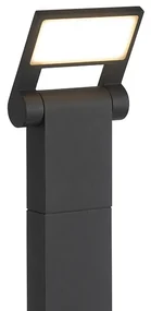 Moderne buitenpaaltje antraciet 60 cm incl. LED IP54 - Zane Modern IP54 Buitenverlichting