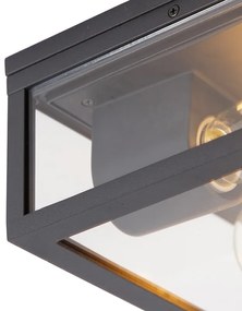 Buitenlamp Industriële plafondlamp zwart IP44 2-lichts - Charlois Design E27 IP44 Buitenverlichting vierkant