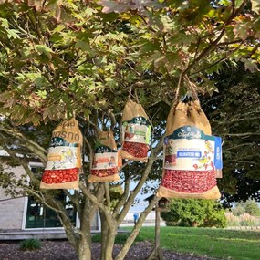 Bird-Buffet | Picknick voor buitenvogels | 300 gram - Roodboorstjes&amp;Vinken