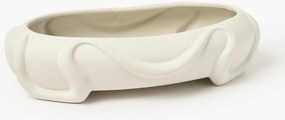 Decoratieve schaal Blimo