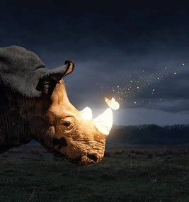 Ilustratie Magical butterfly sitting on the rhino, byheaven