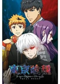Posters Multicolour Tokyo Ghoul  TA6993