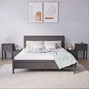 vidaXL Nachtkastjes 2 st 79,5x38x65,5 cm massief grenenhout grijs