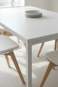 Dino Rechthoekige Tafel 100x60 cm