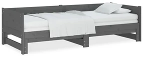 vidaXL Slaapbank uitschuifbaar massief grenenhout grijs 2x(80x200) cm