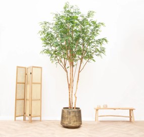 Kunstplant Murraya - 325cm