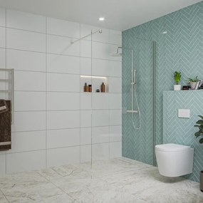 Fortifura Galeria inloopdouche - 120x200cm - helder glas - wandarm - Geborsteld RVS PVD (RVS) SW797917/SW797908