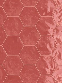 Wandtegel hexagon rood Terratinta Hexa 17x15cm cherry pie glans gerectificeerd
