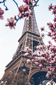 Poster Parijs - Eiffeltoren, (61 x 91.5 cm)