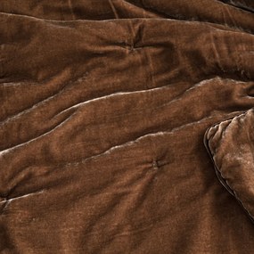 Fluwelen dekbed, Vezina