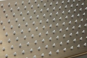 Saniclear Vision rechthoekige douchekop 30x20cm verouderd messing