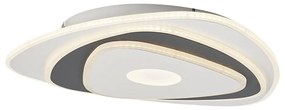 Design plafondlamp wit met antraciet organisch incl. LED dimbaar - Taylor Design Binnenverlichting Lamp